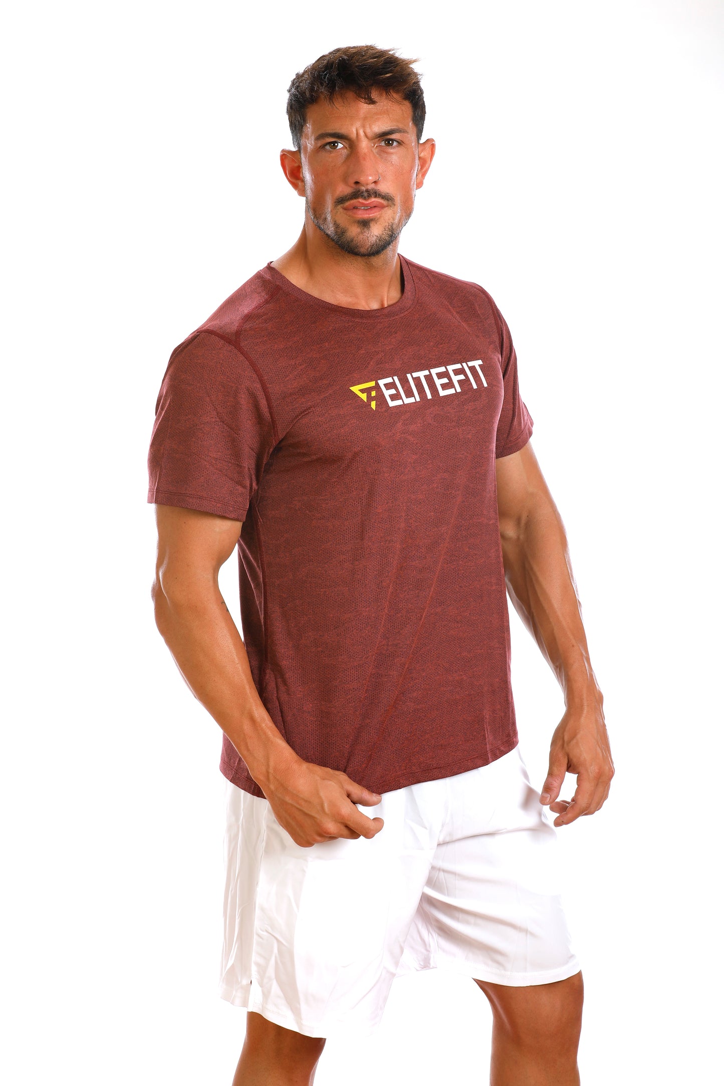 ZEUS T-shirt (maroon)
