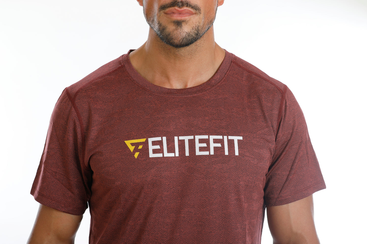 ZEUS T-shirt (maroon)