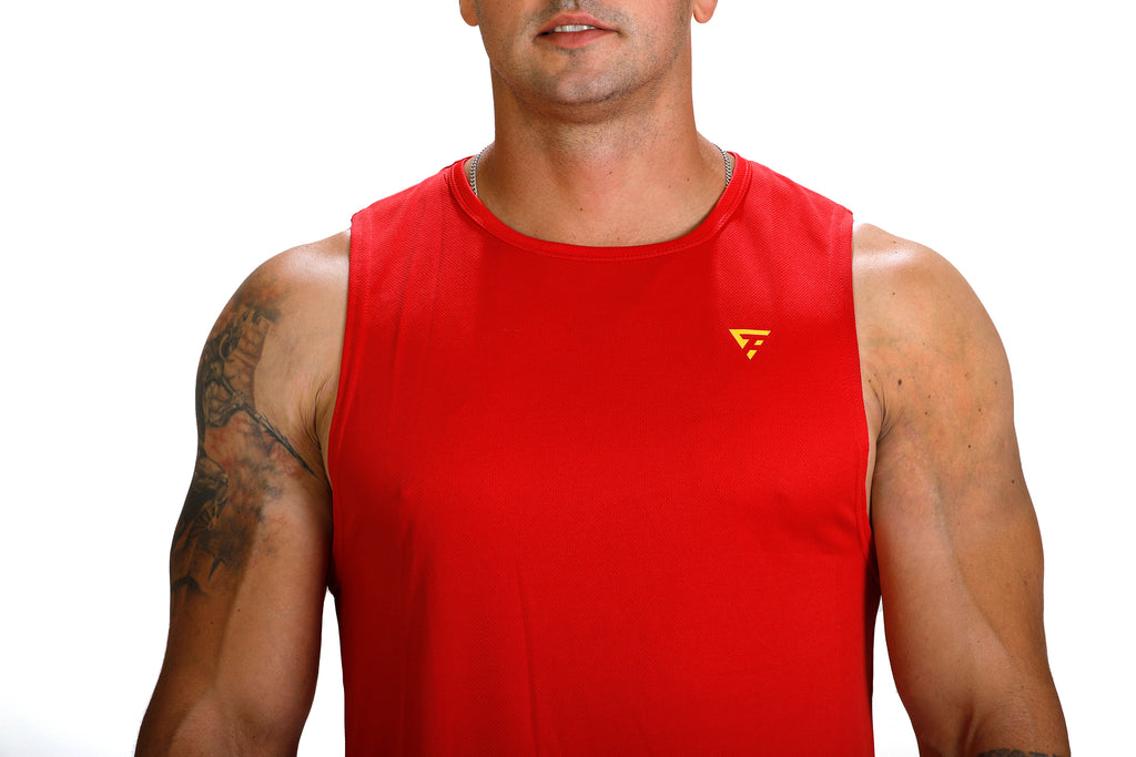 HADES T-shirt (red) 