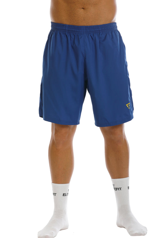 ANZETY shorts (blue)